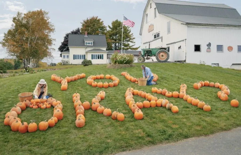 assets_2d0e458de8794016844dd07c92341504_d1f7ced857d4495a8416e71cf356bfe0 assets_2d0e458de8794016844dd07c92341504_d1f7ced857d4495a8416e71cf356bfe0